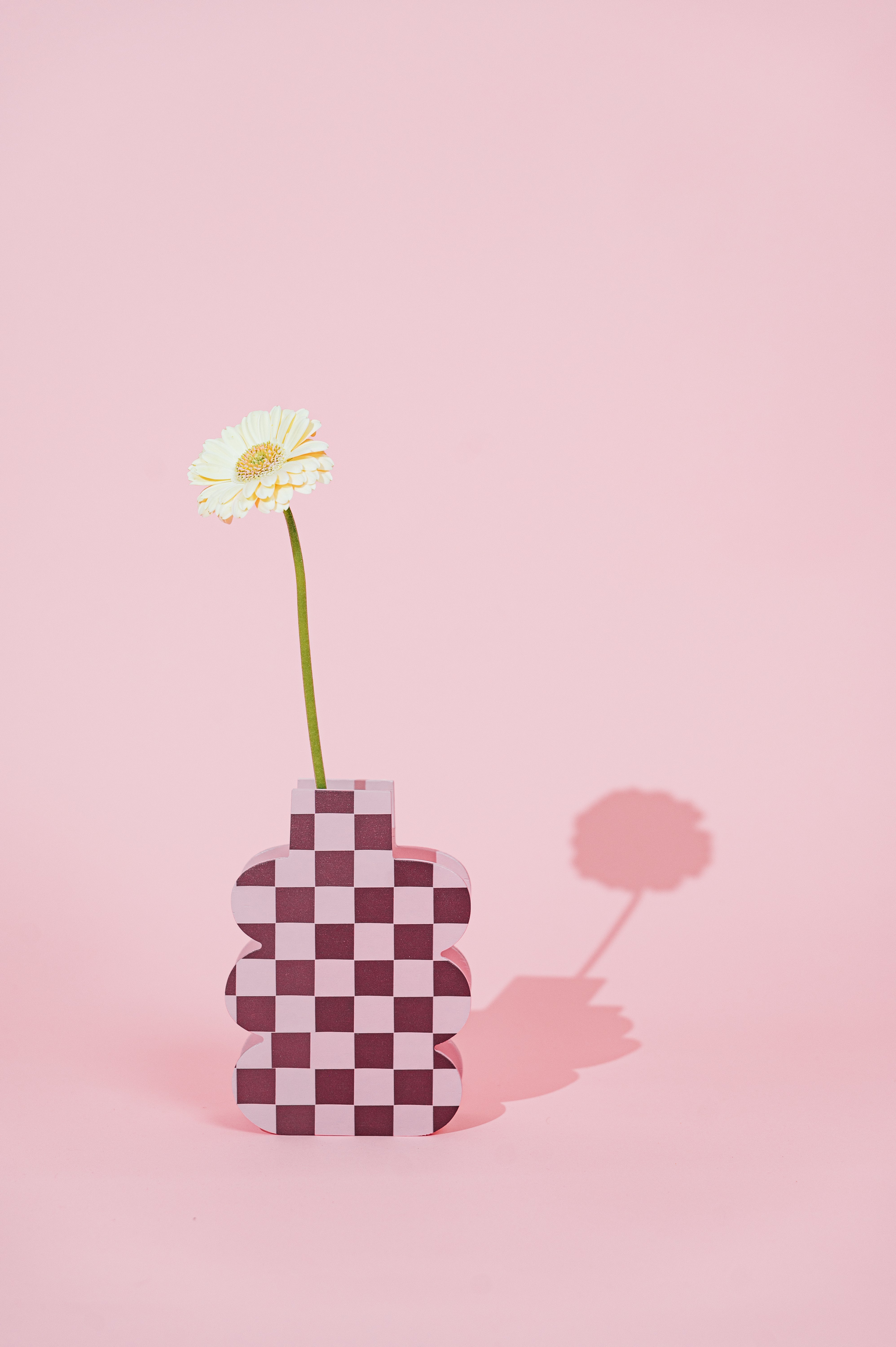 Pink Check Mate