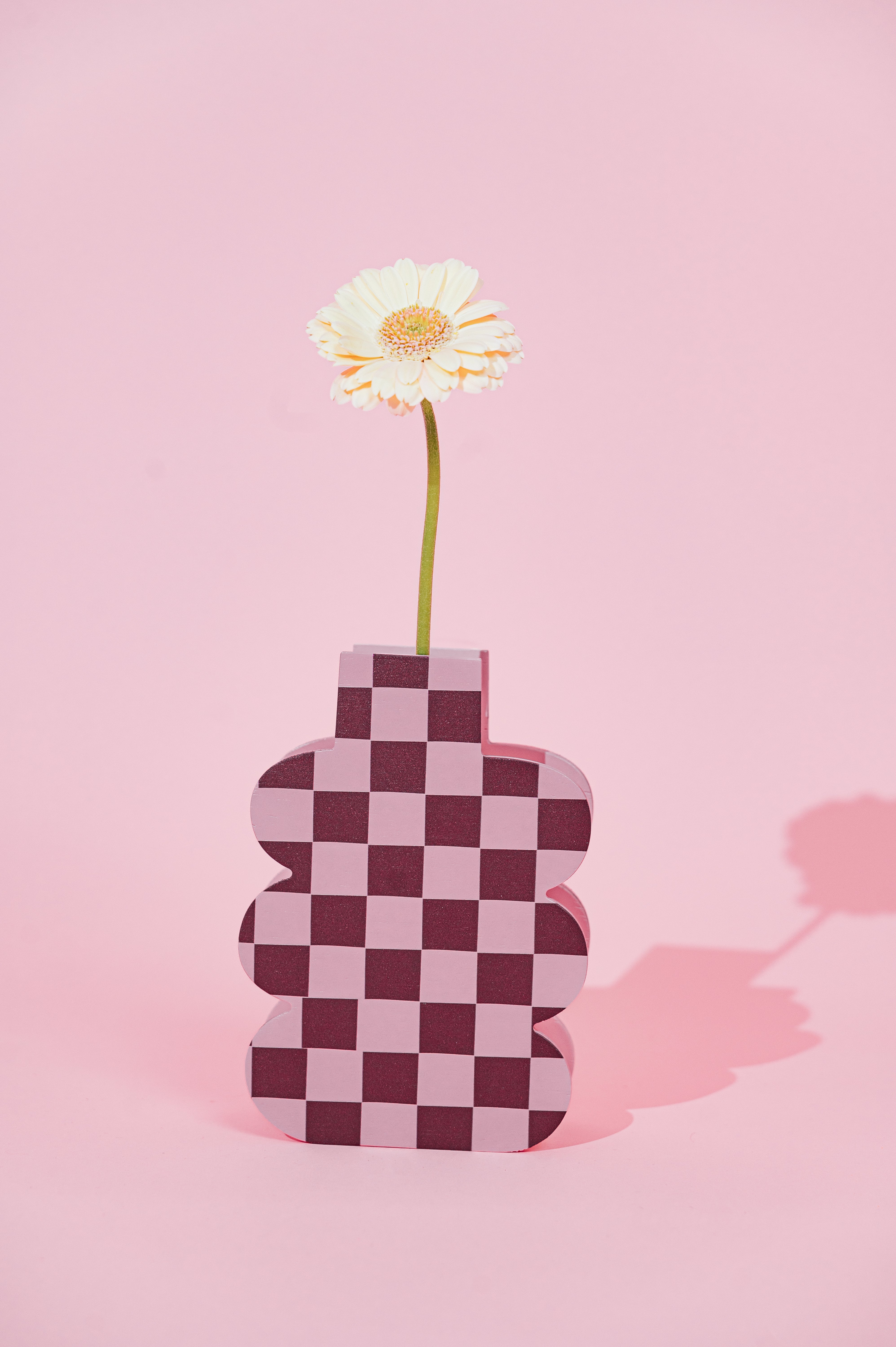 Pink Check Mate