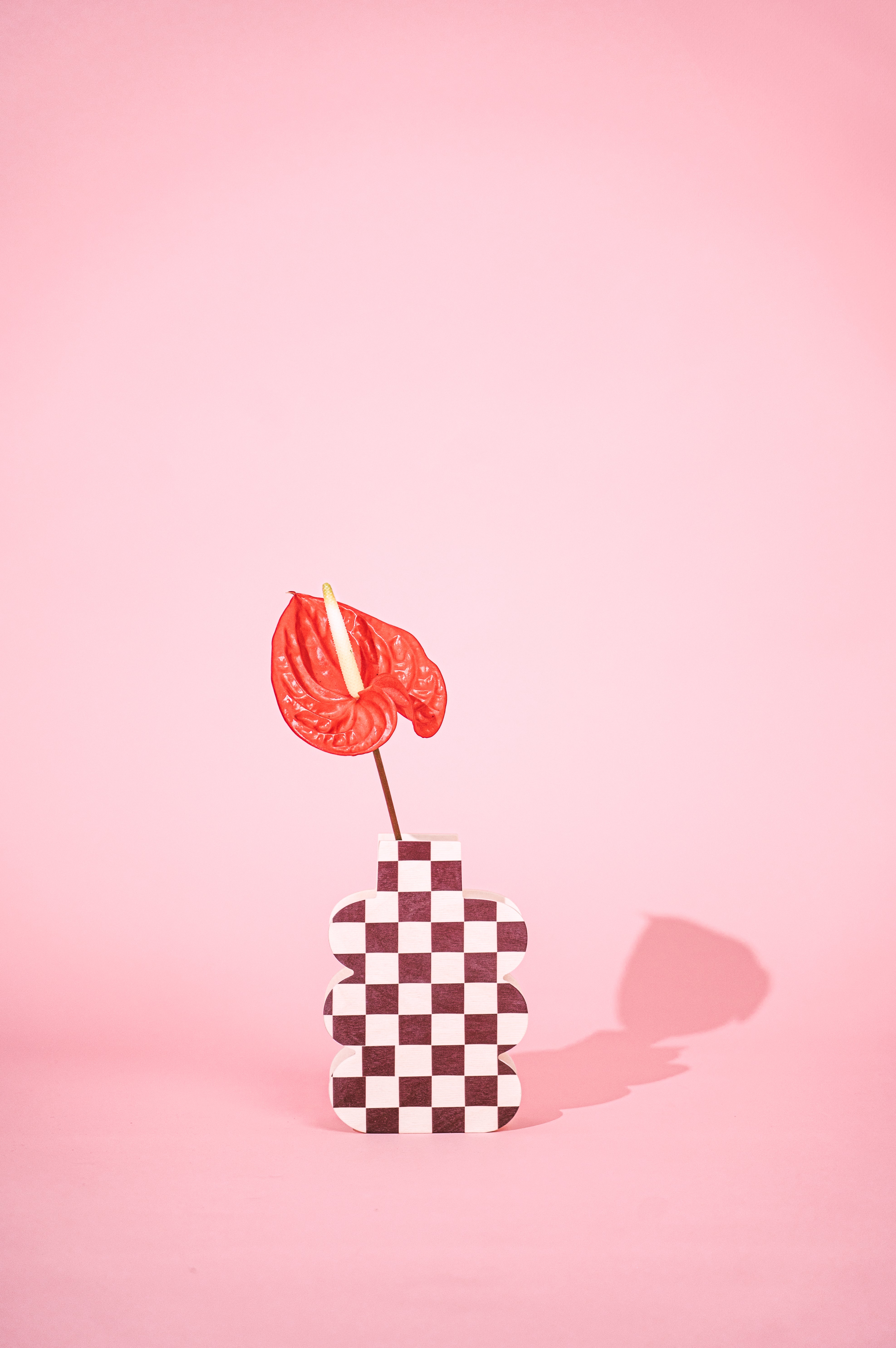 Check Mate