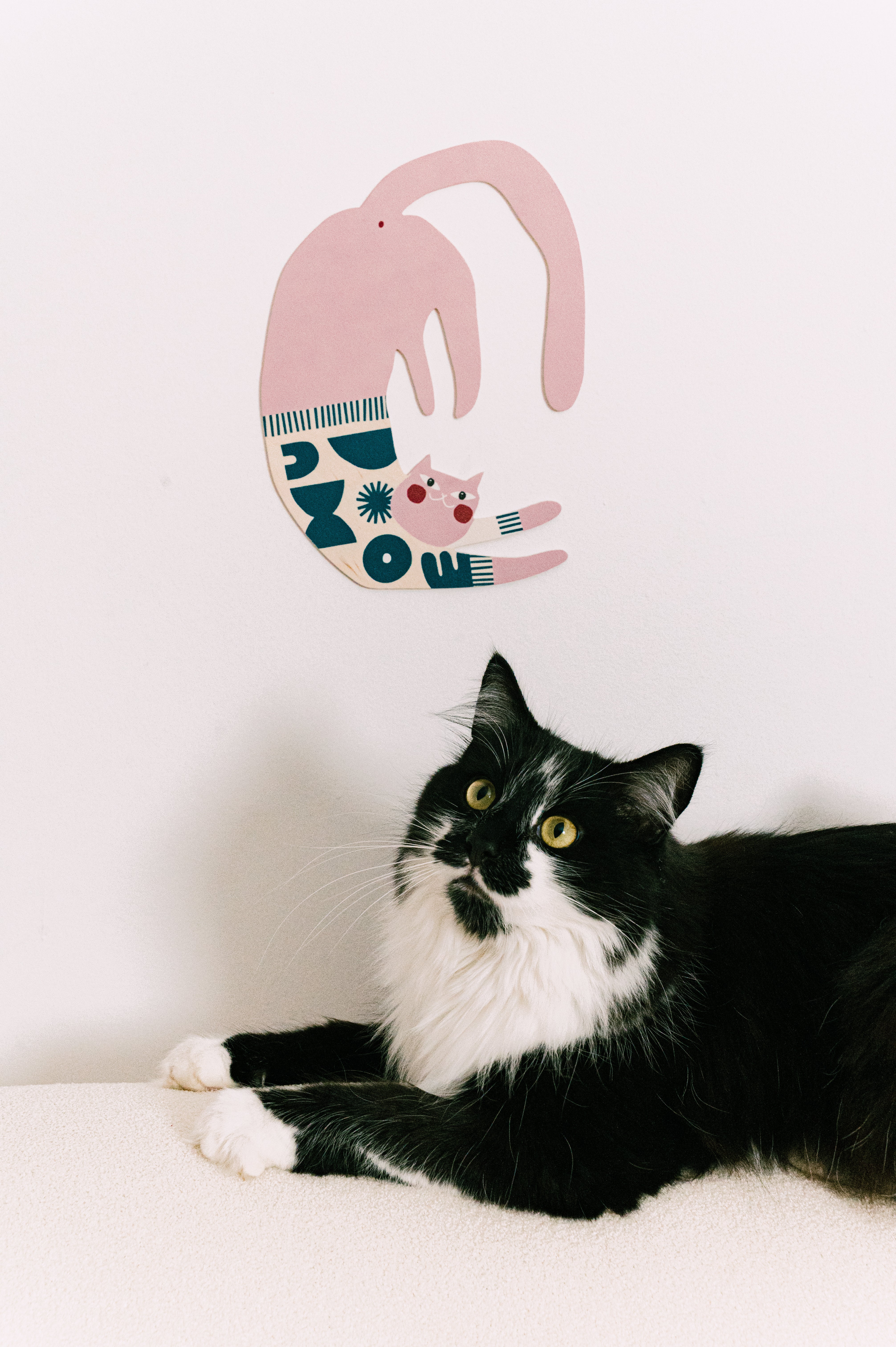 Koty, Wallart