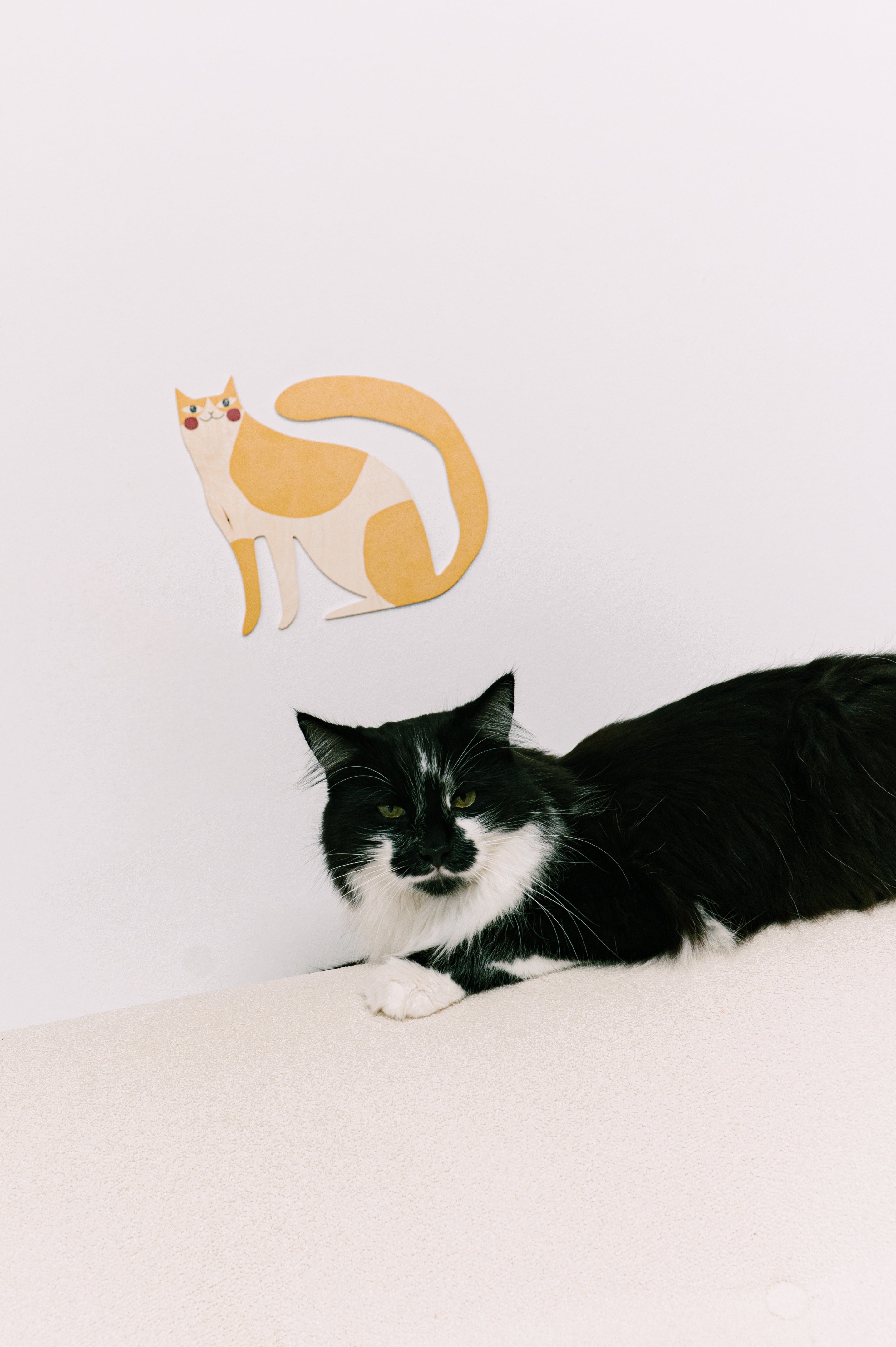 Koty, Wallart