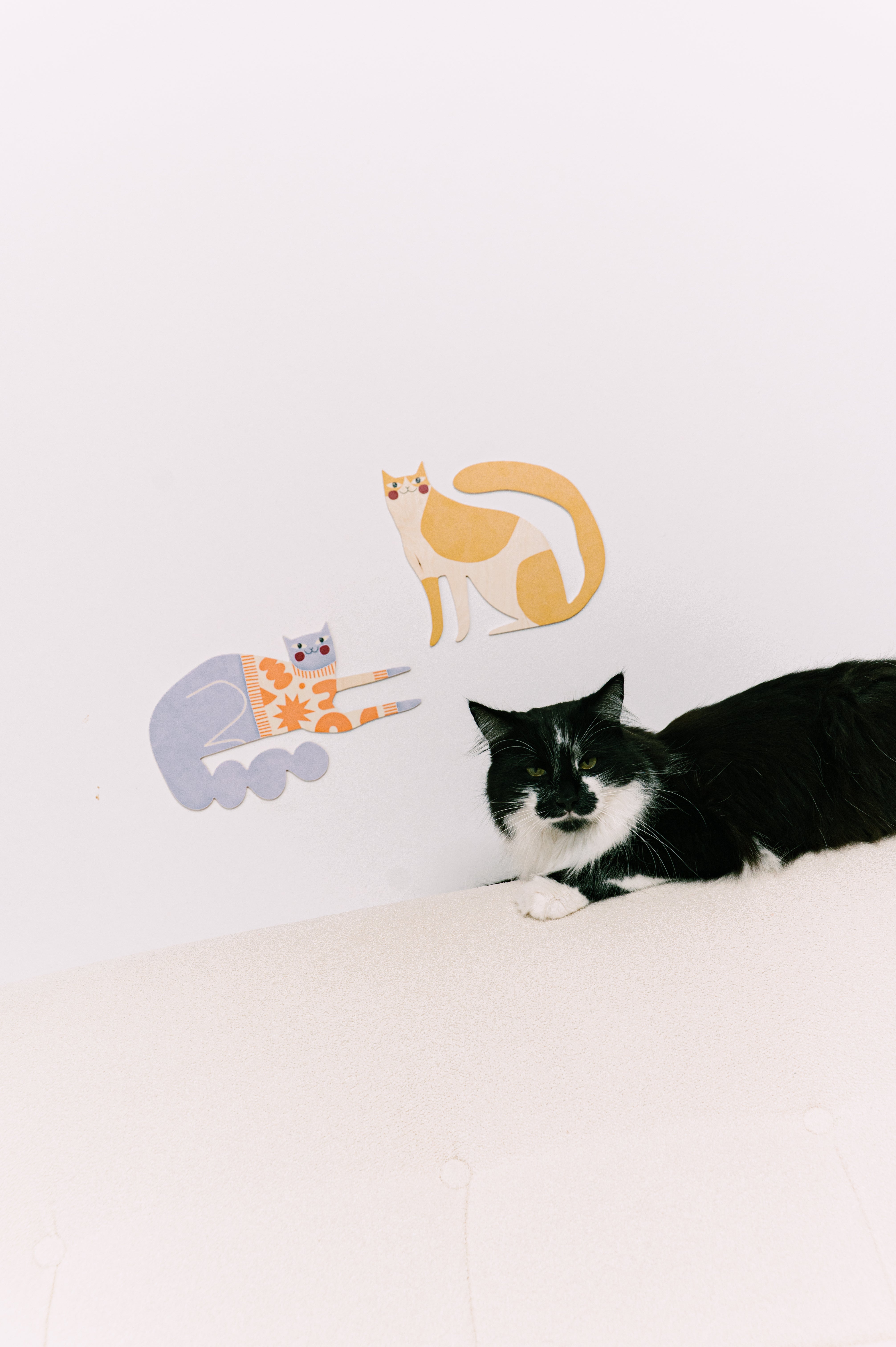 Koty, Wallart
