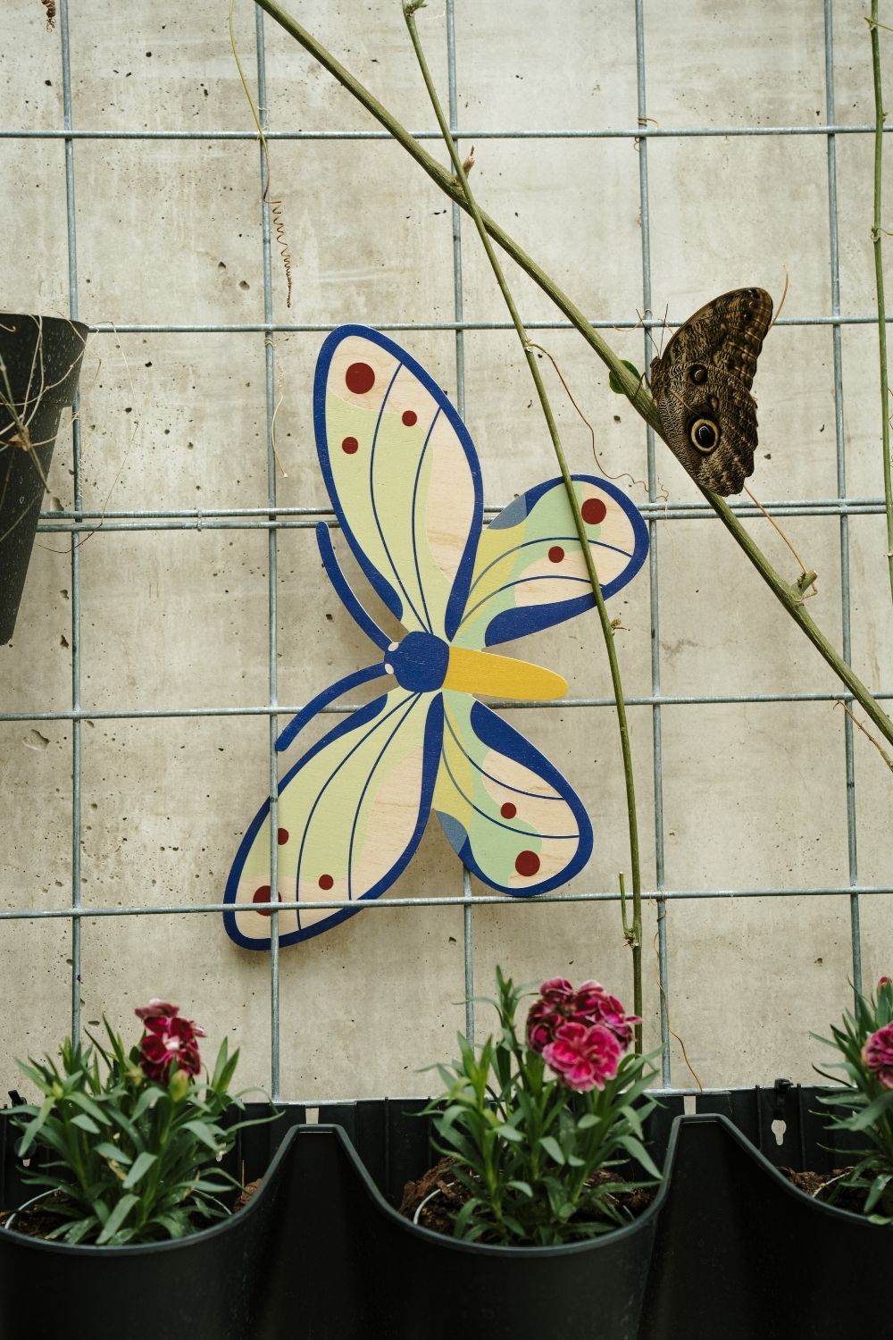 Birdwings