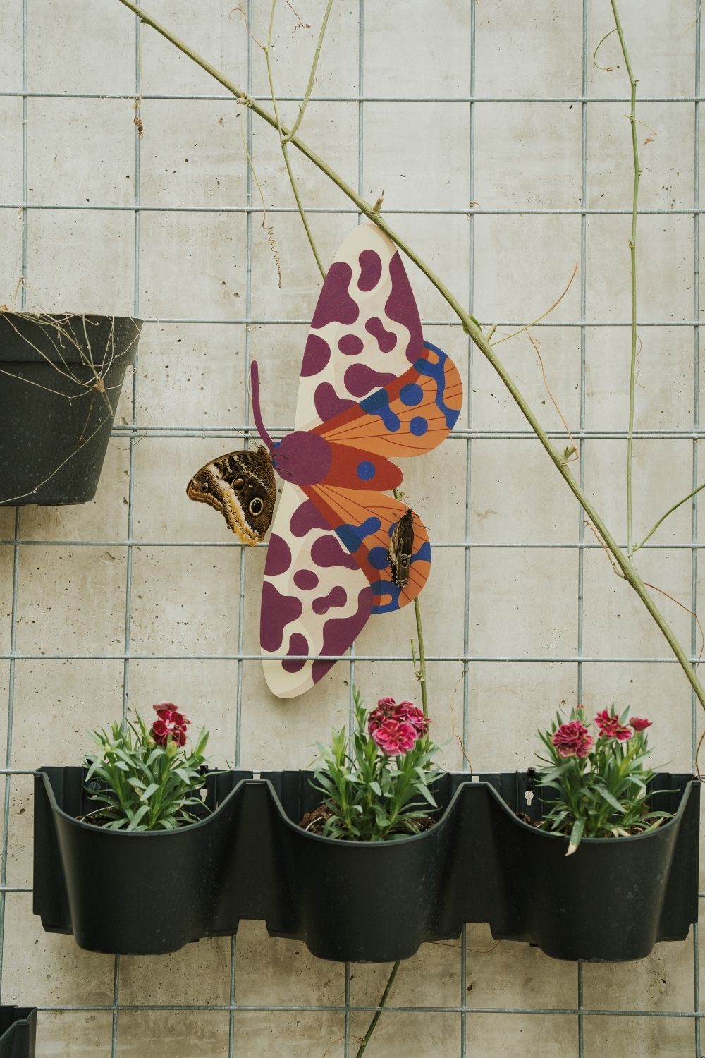 Garden Tiger