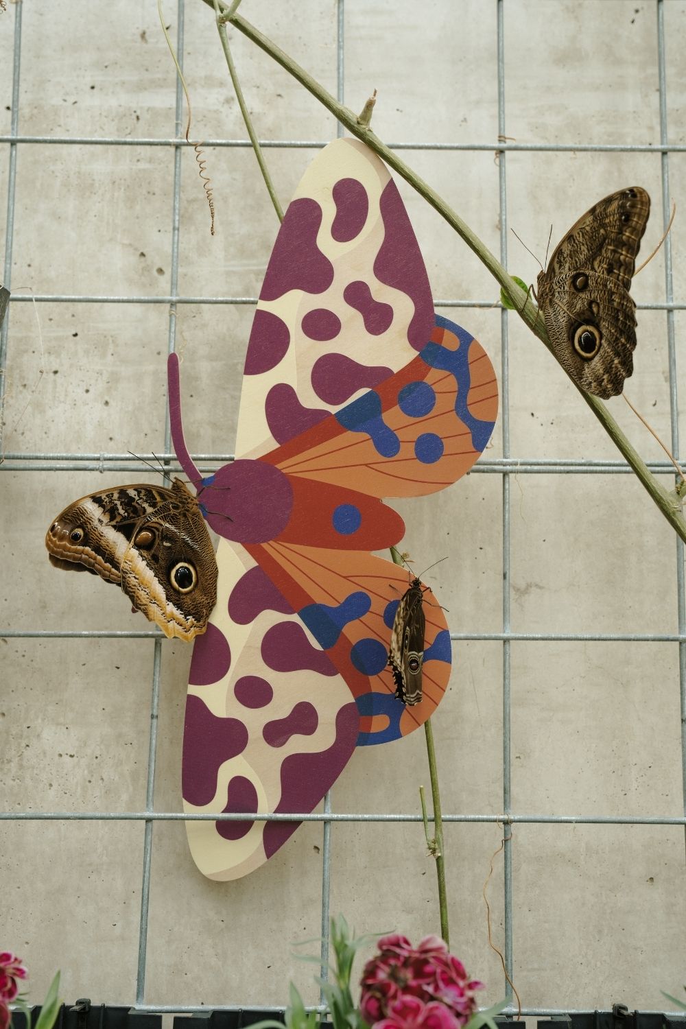 Garden Tiger
