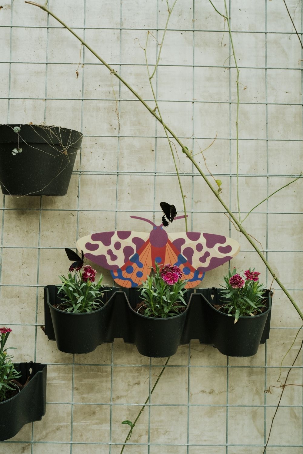 Garden Tiger