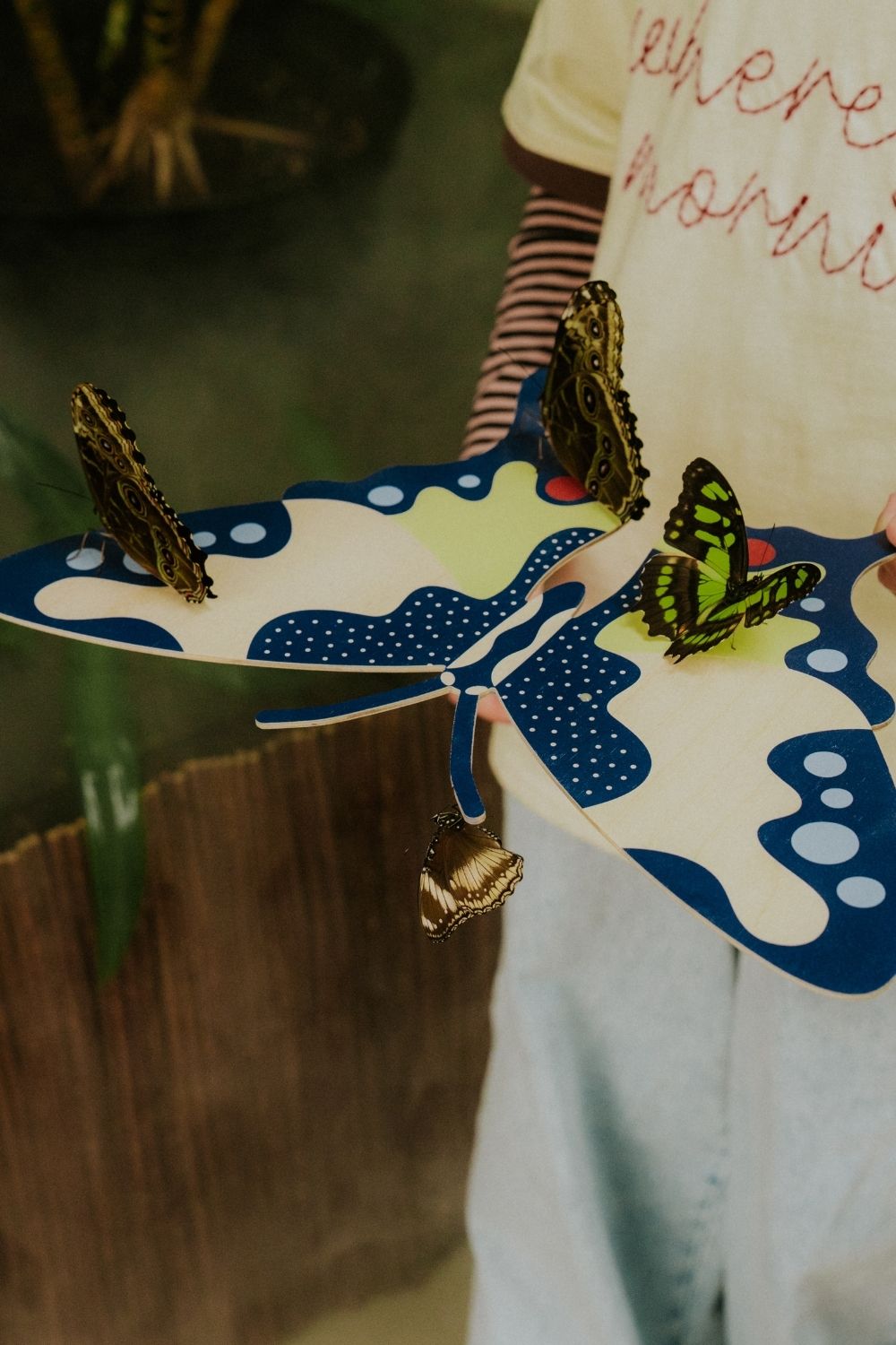 Swallowtail