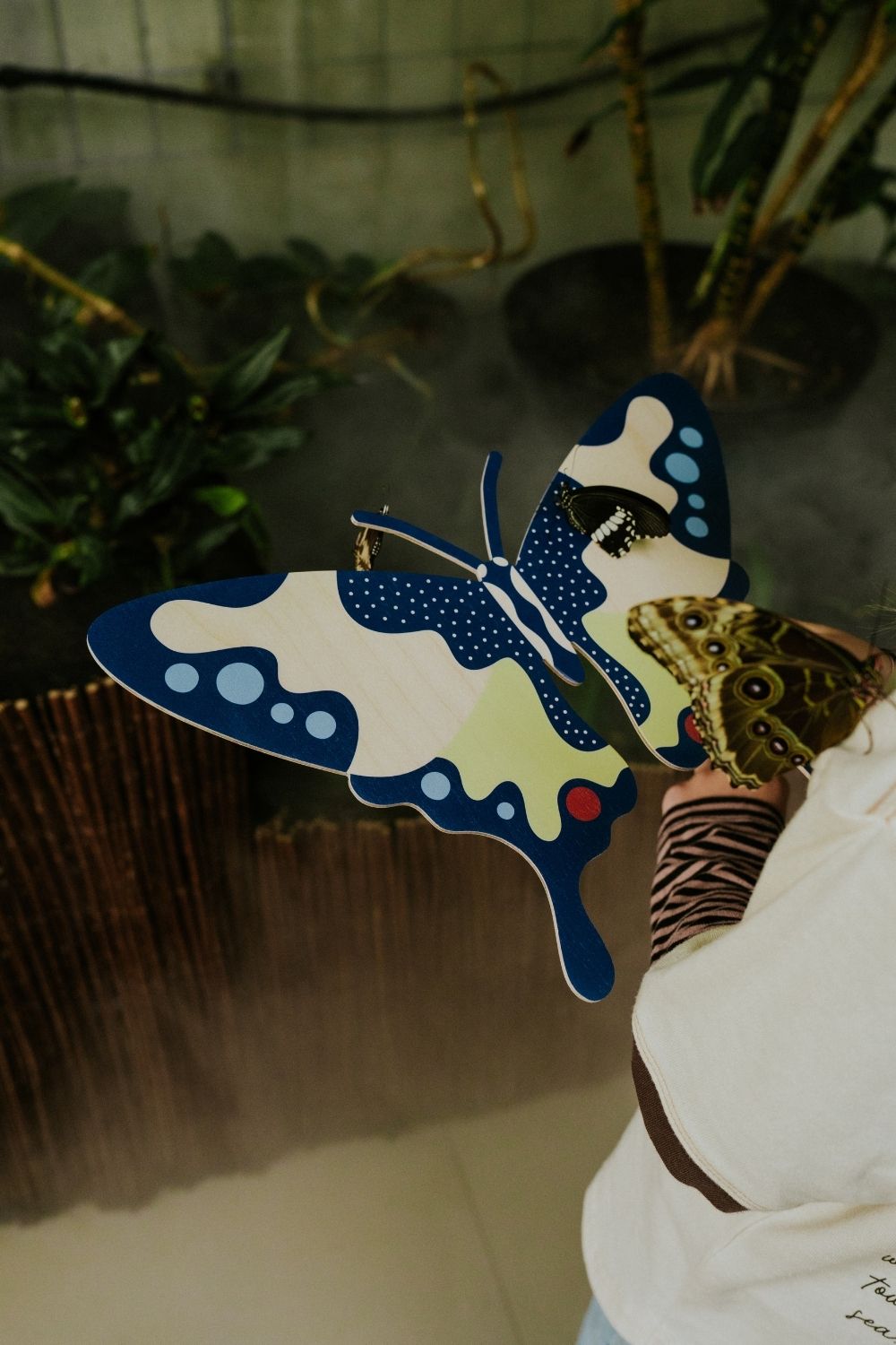 Swallowtail
