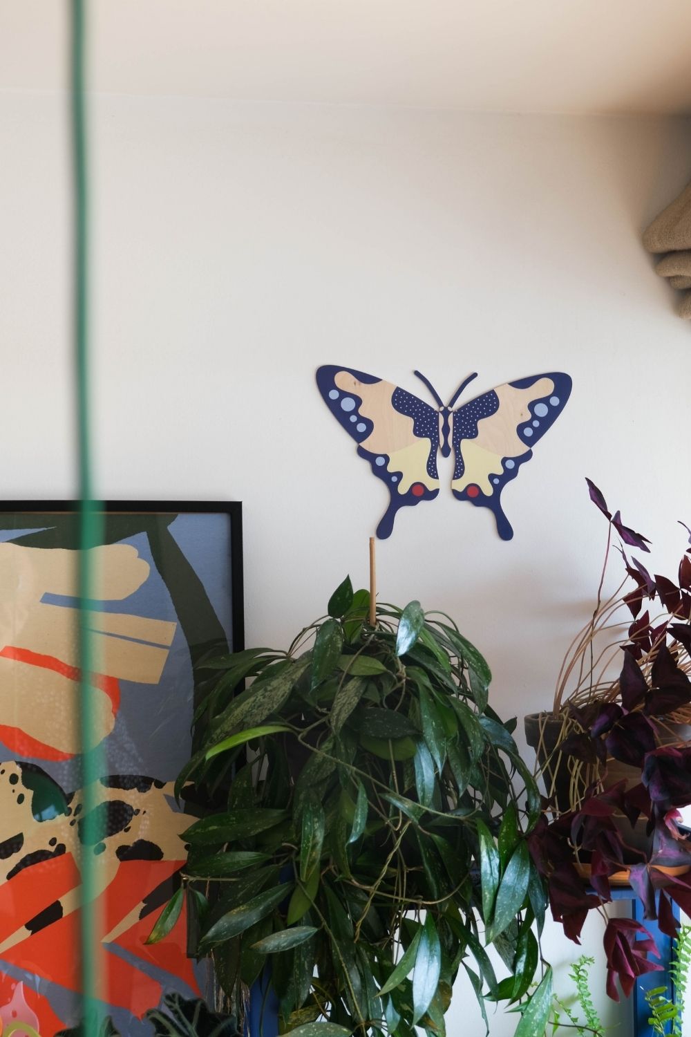 Swallowtail
