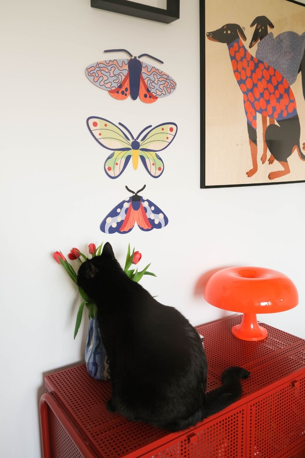 Birdwings