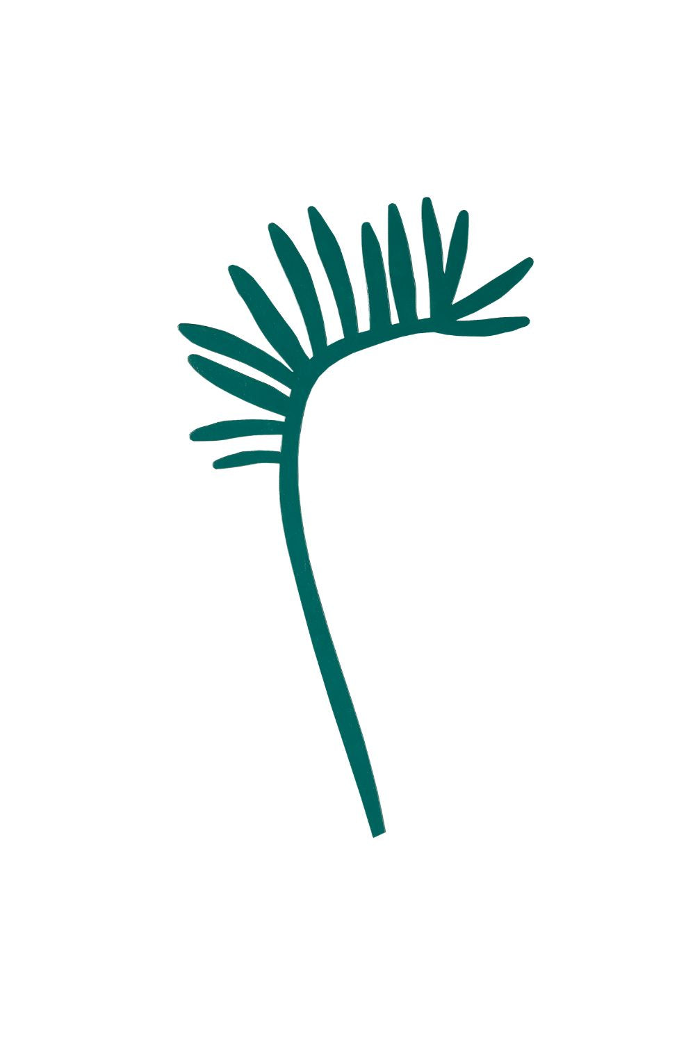 Palm