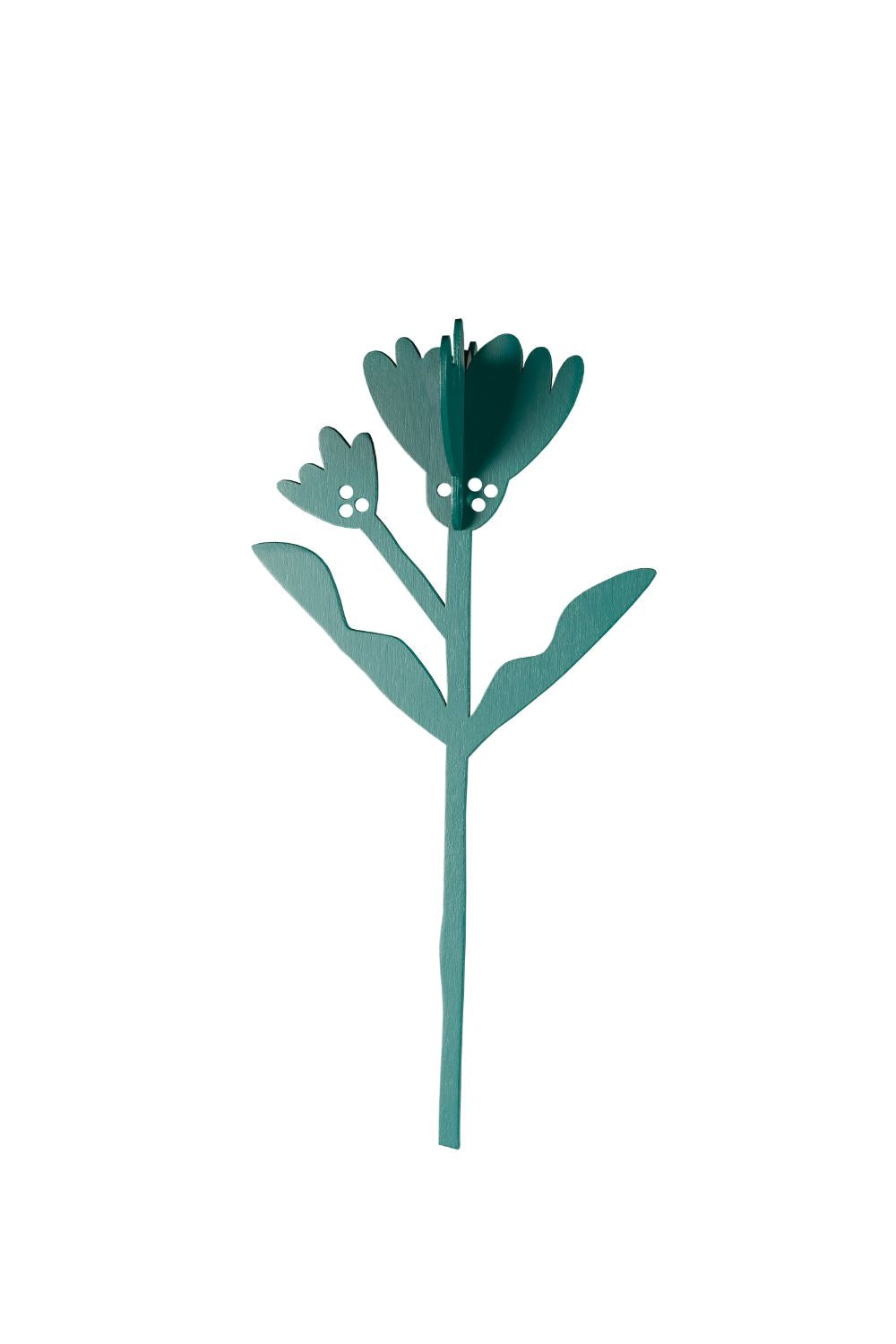 Marigold