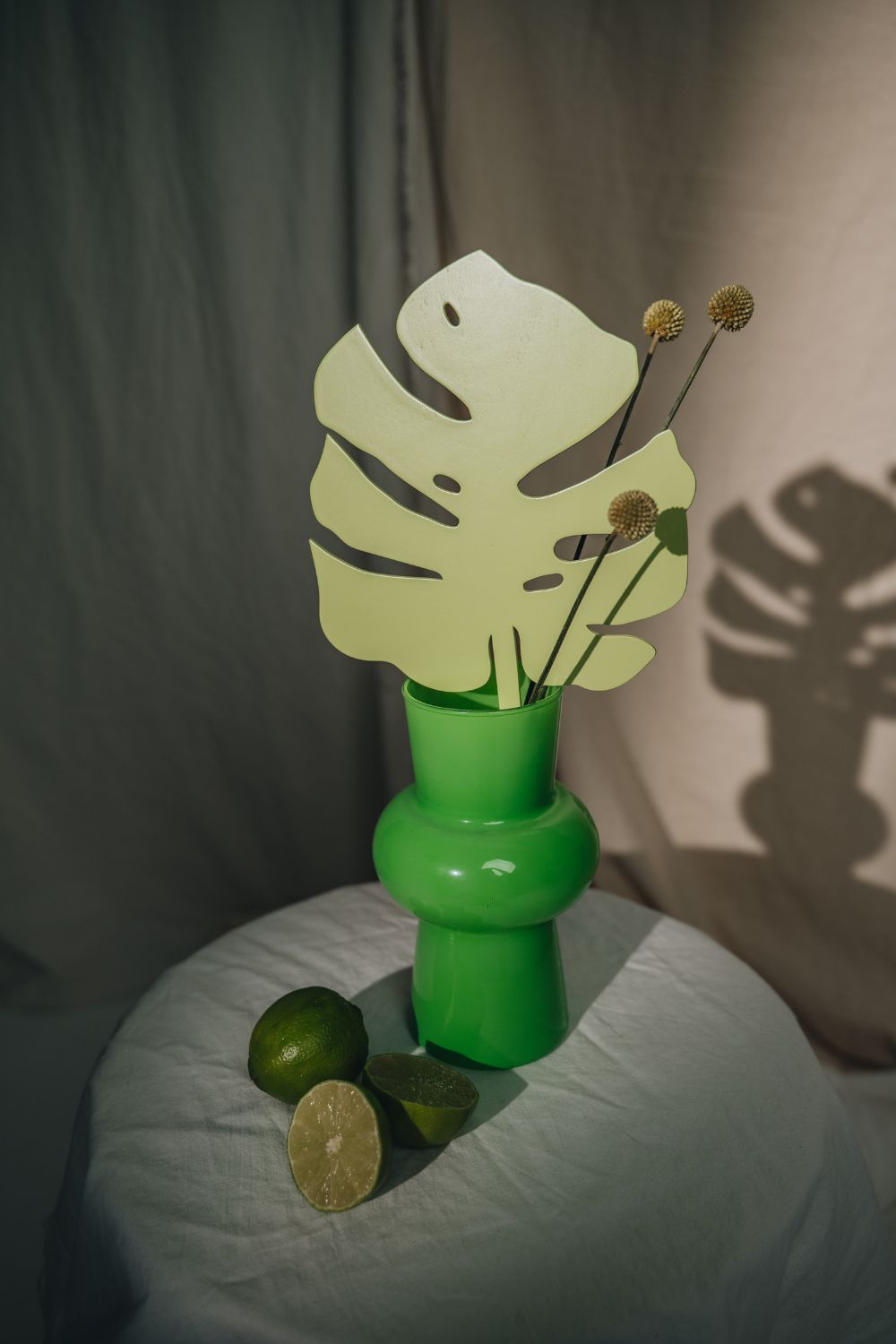 Monstera