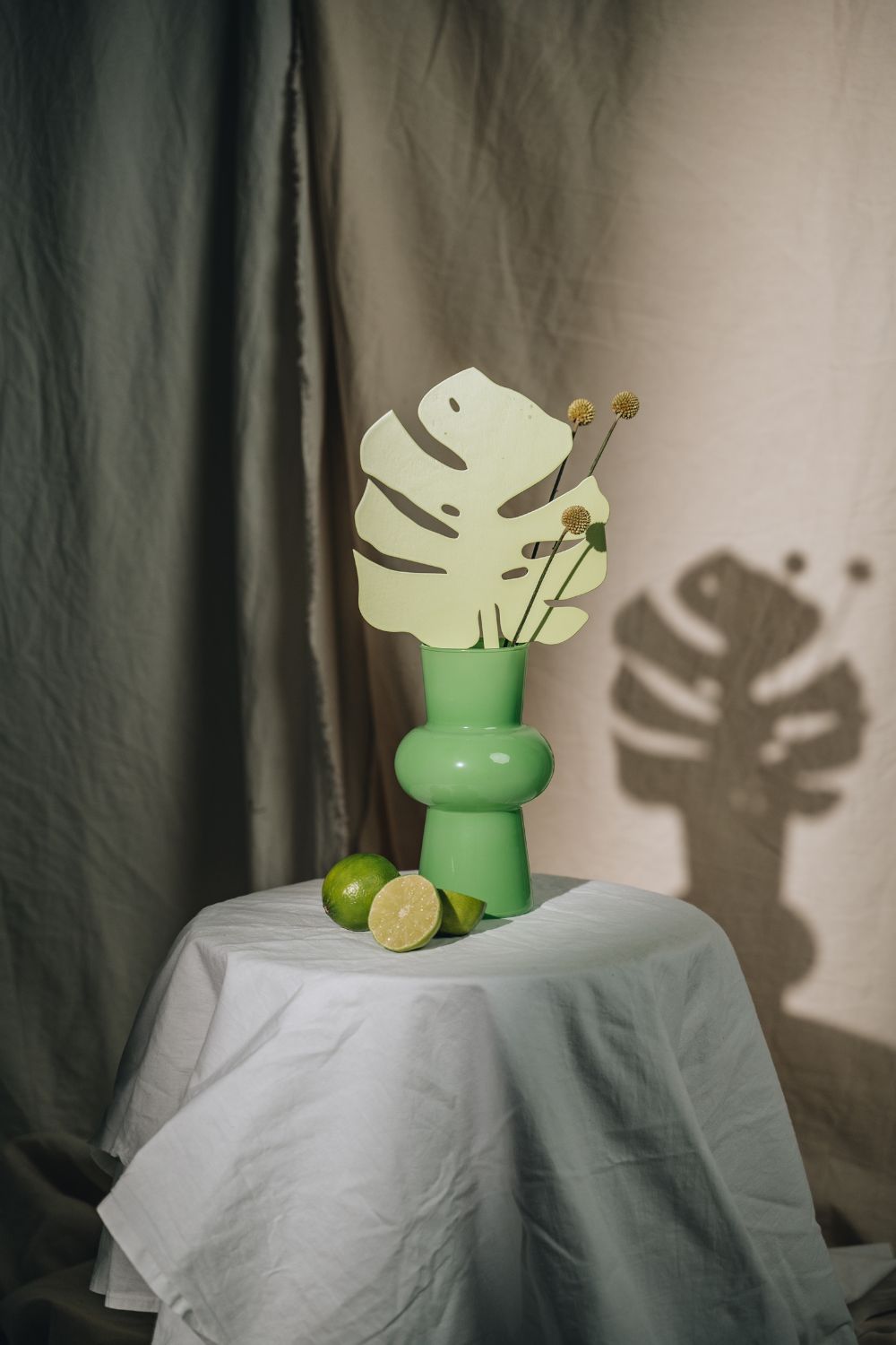 Monstera