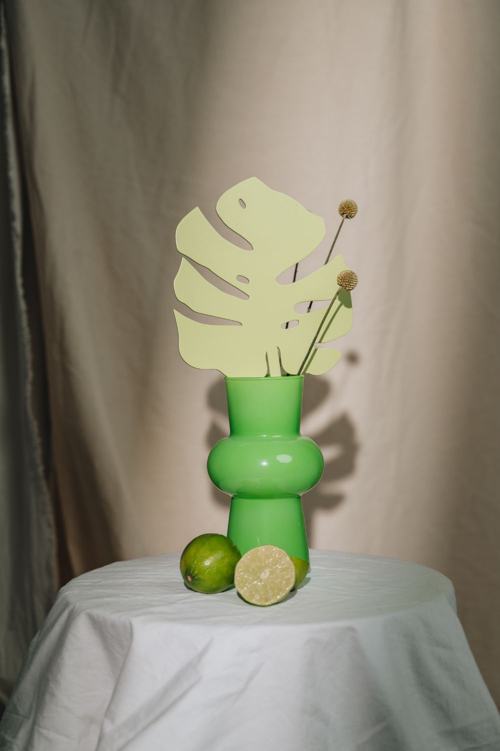 Monstera