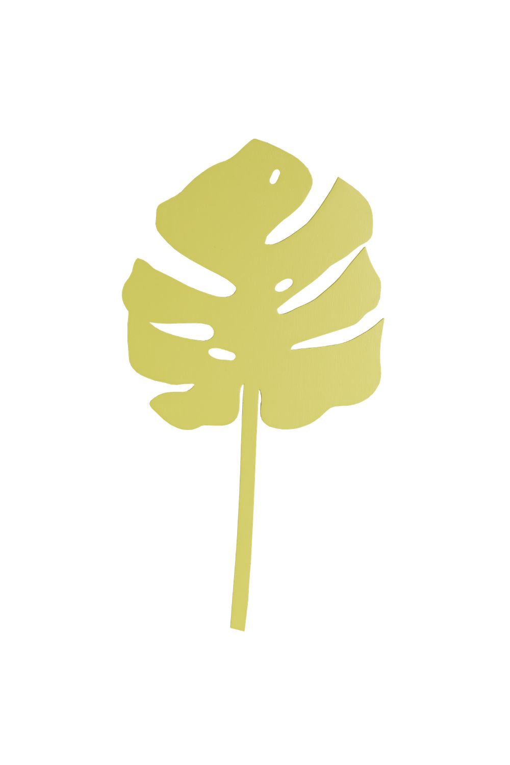 Monstera
