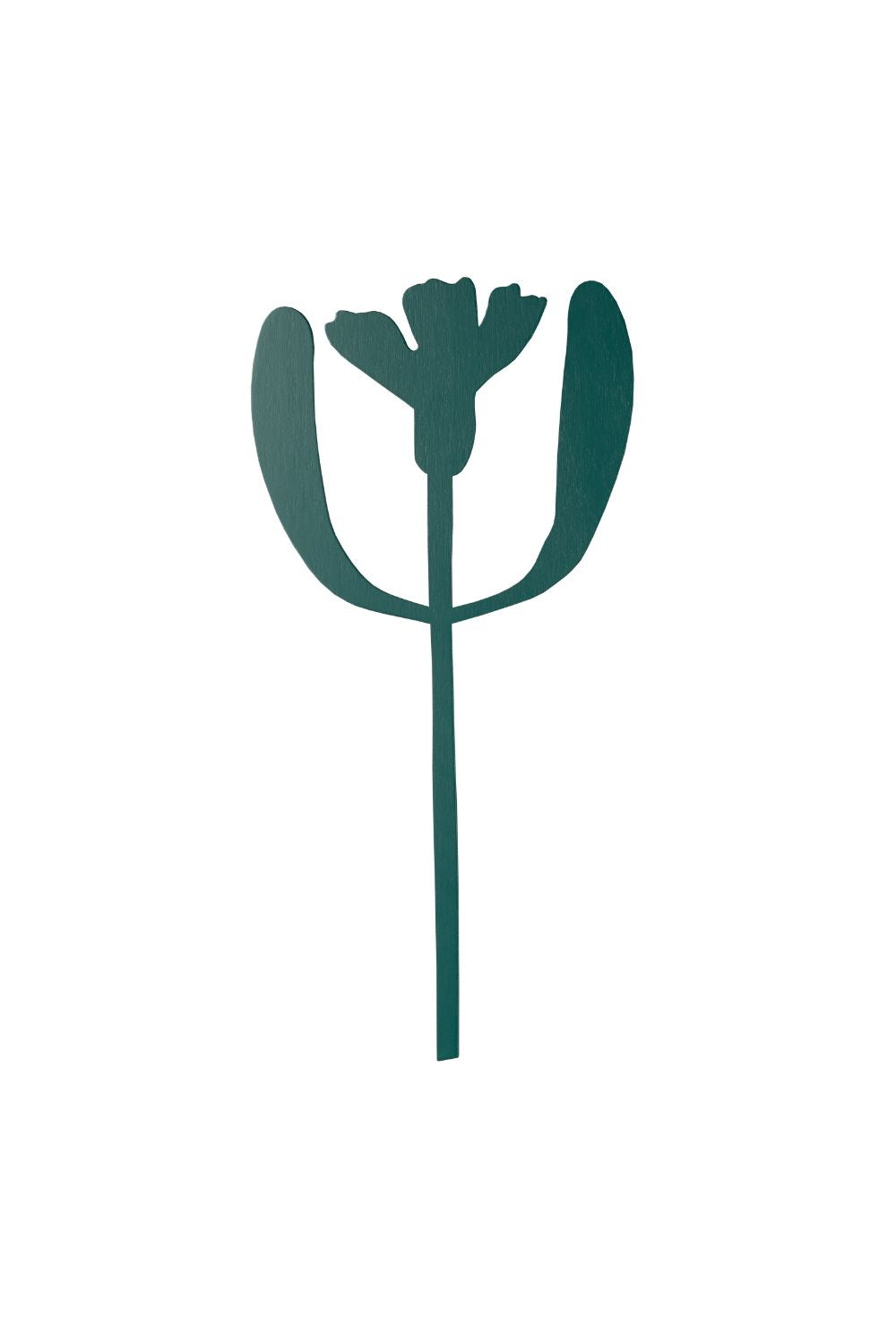 Cornflower