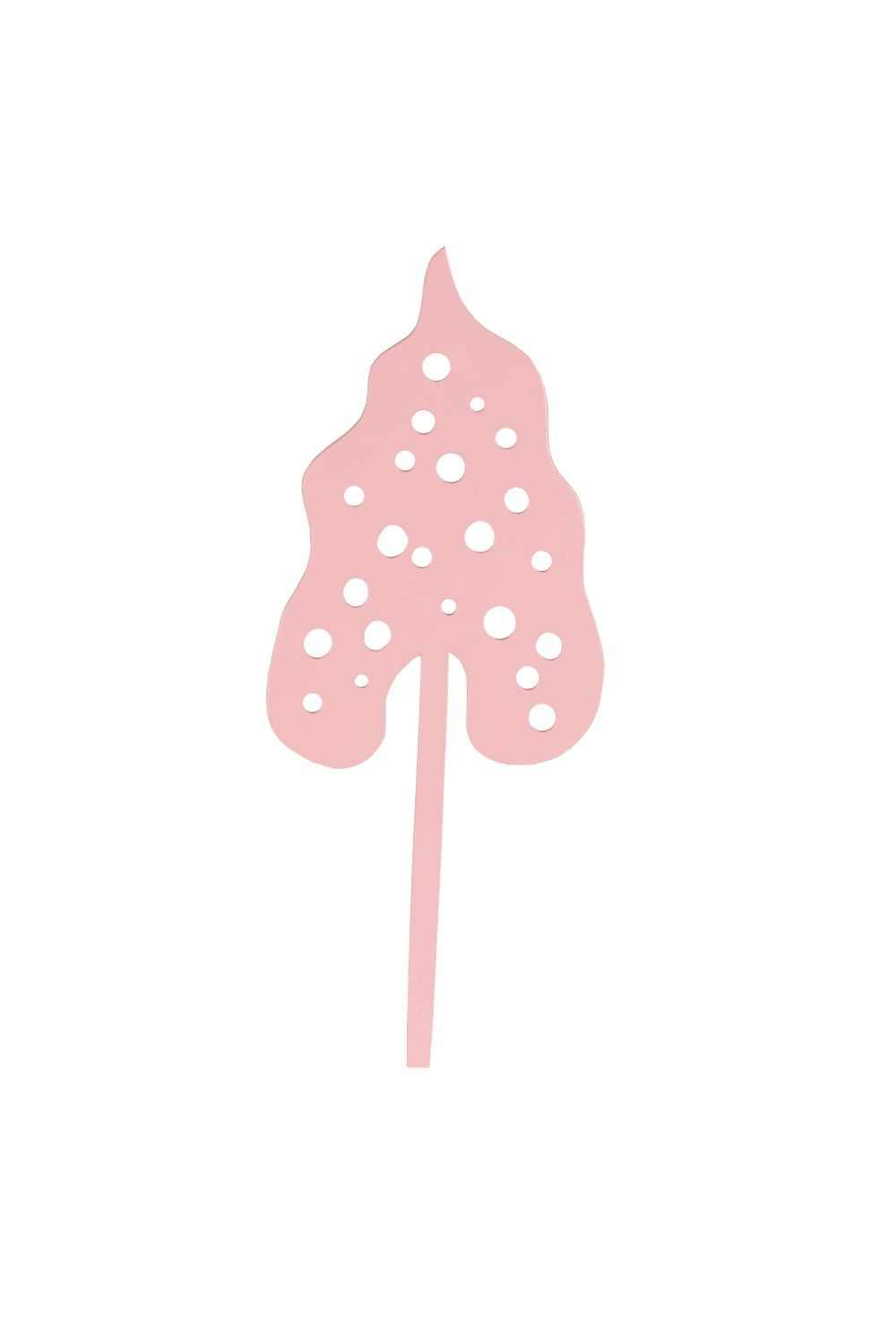 Begonia