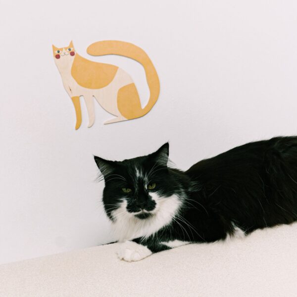 Muffin the cat - dekoracja ścienna