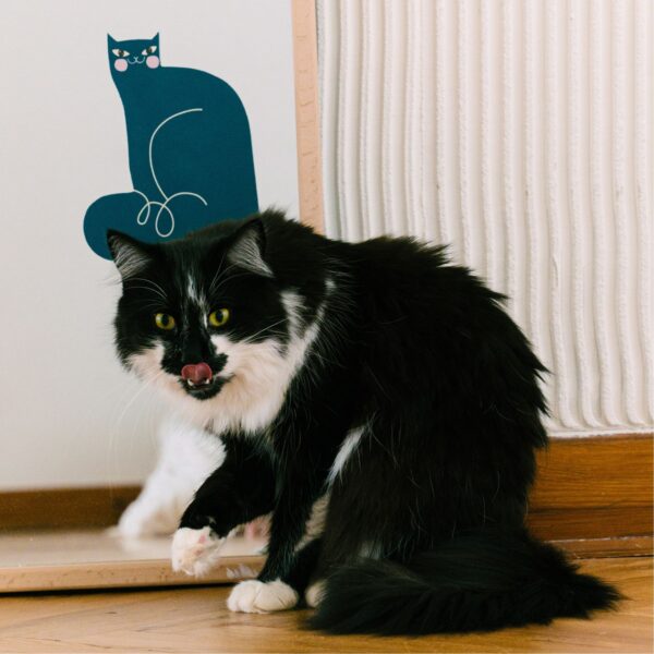 Pickle the cat - dekoracja ścienna